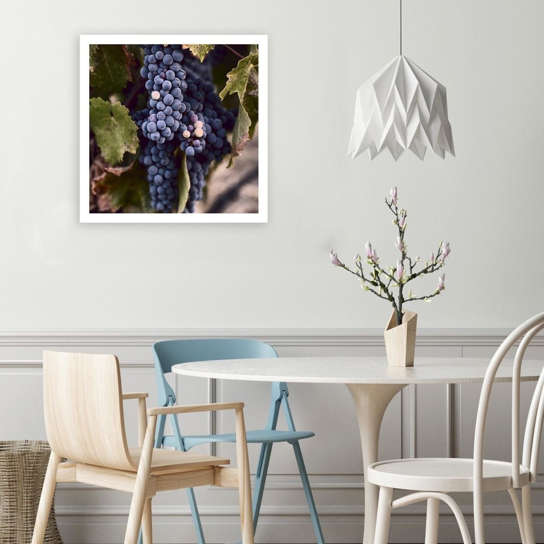 Emaga Obraz na płótnie, Ciemne winogrona - 60x60